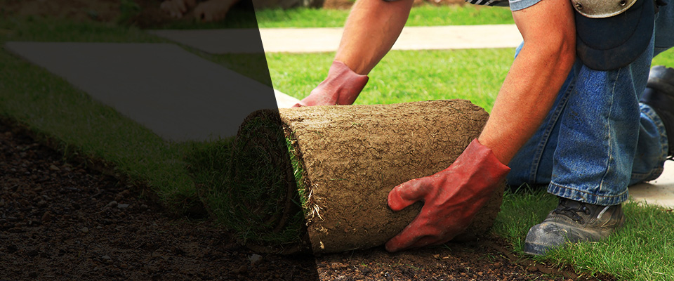 Caledonia Landscapers